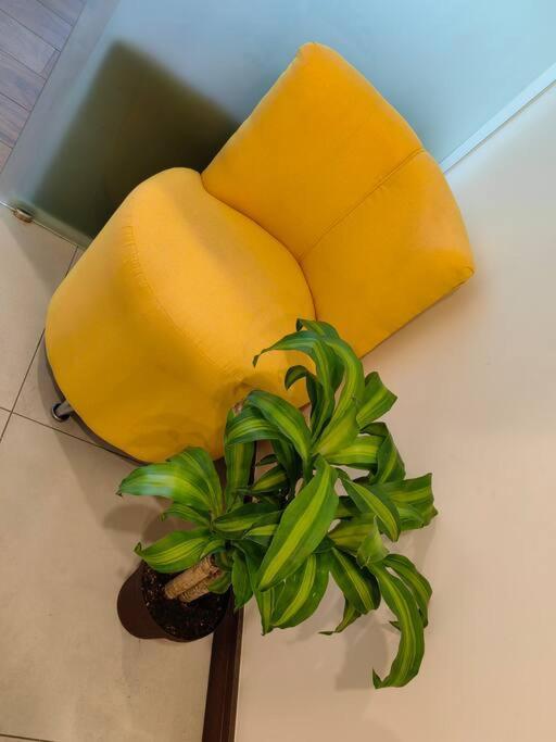 1102 Torre Los Yoses Hermoso Apartamento En Barrio Escalante Sin Parqueo 산호세 외부 사진
